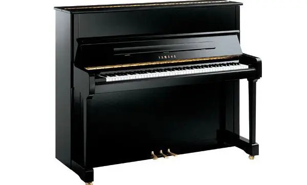 Yamaha P Series
