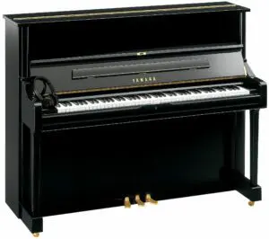 Yamaha DU1ENSTPE