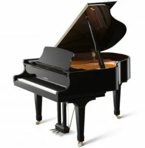 Kawai GX1