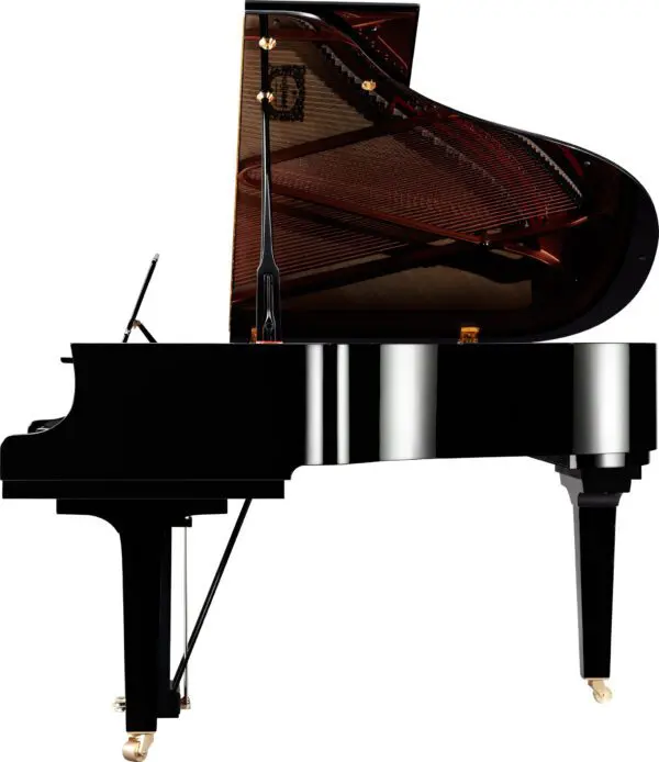 Yamaha C2X Profile