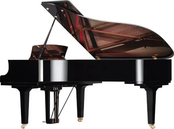 Yamaha C6X Profile