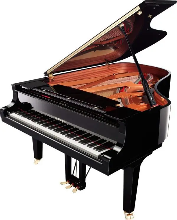 Yamaha C6X Angled