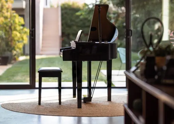 Kawai DG30