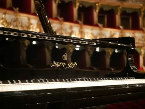 Shigeru Kawai SK-EX Keys