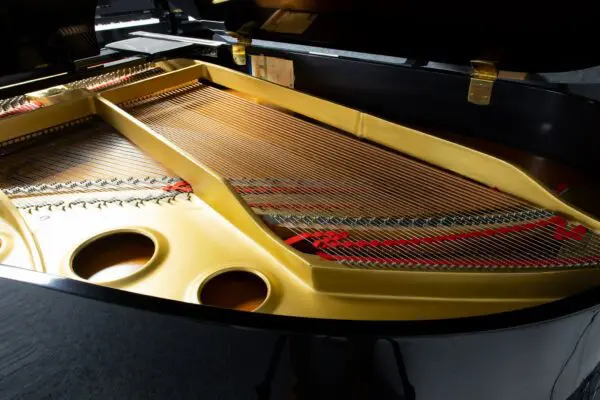 Yamaha C3 Silent Internal Back