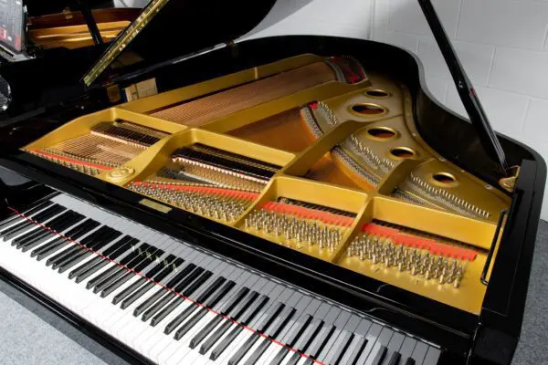 Yamaha C3 Silent Internal