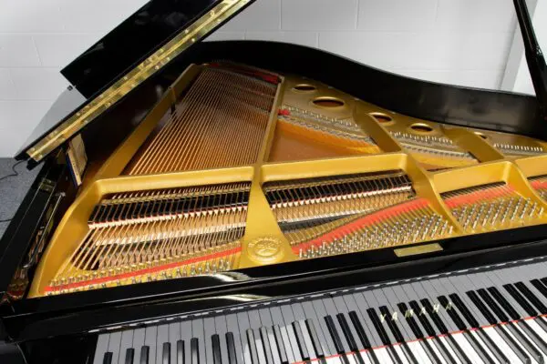 Yamaha C3 Silent Internal 2