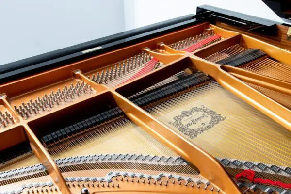 Yamaha C7 Internal 4