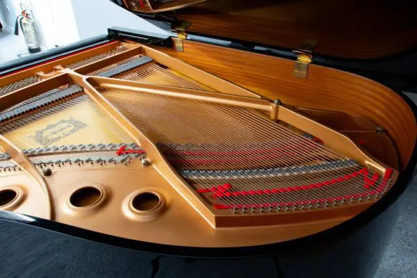 Yamaha C2 Internal Back