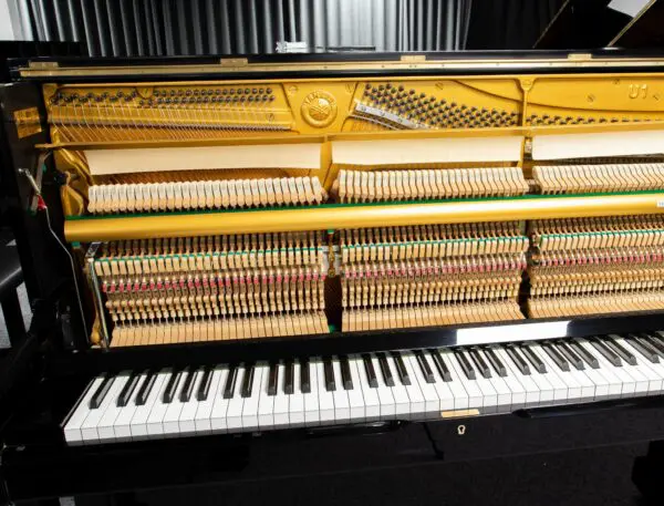 Yamaha U1M Internal