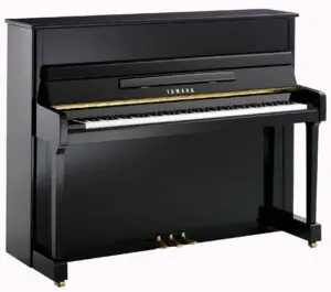 Yamaha P116 Polished Ebony