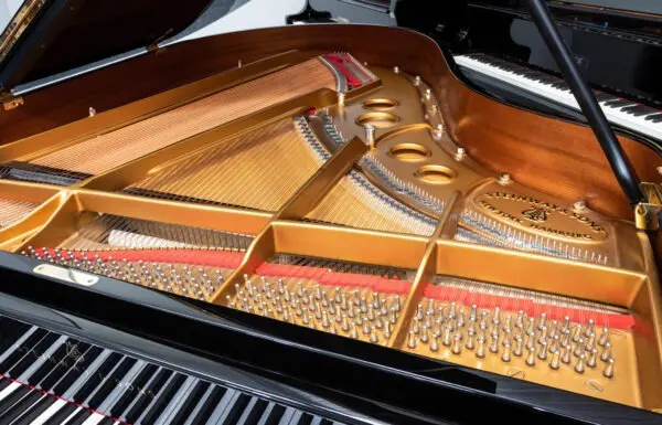Steinway Model O Grand, 2005 - Image 5