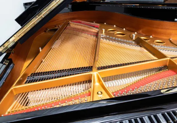 Steinway Model O Grand, 2005 - Image 6