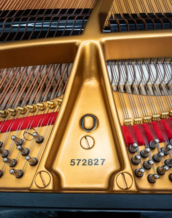 Steinway Model O Grand, 2005 - Image 9