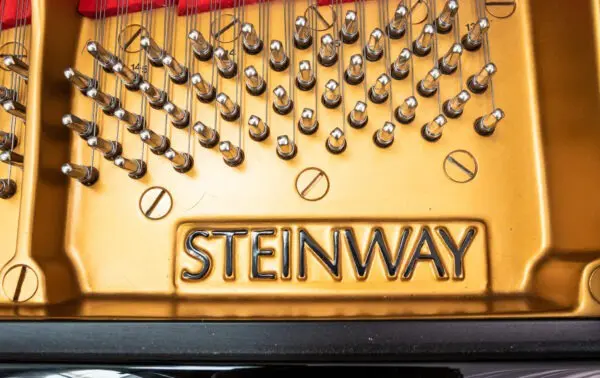 Steinway Model O Grand, 2005 - Image 8