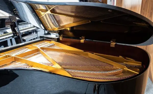 Schimmel 208 Grand