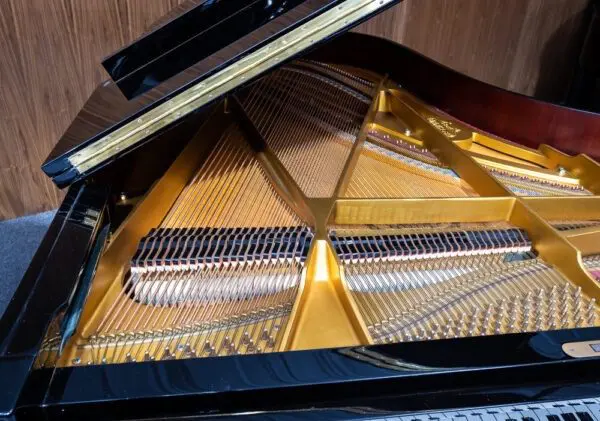 Schimmel 208 Grand
