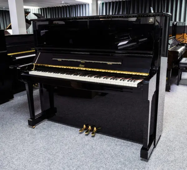 Boston Steinway 132 E (2010)