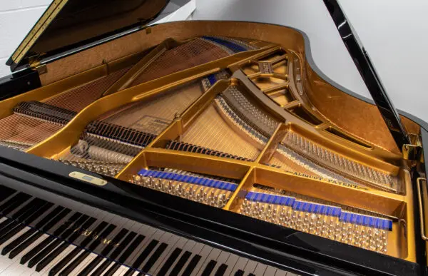 Blüthner Model 6 Grand, 2005 - Image 5