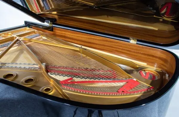 Steinway Model B Grand