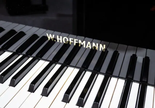 Hoffmann V 158 Grand, 2012 - Image 4