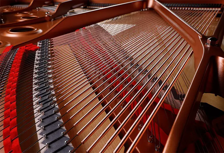 TA3 TransAcoustic System