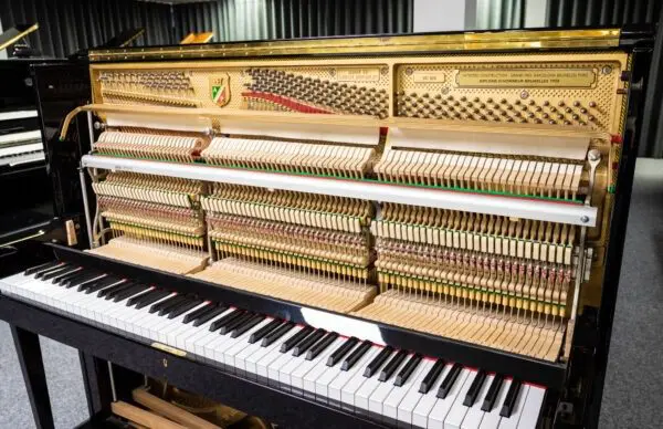 Petrof 125 Upright, 2003 - Image 4