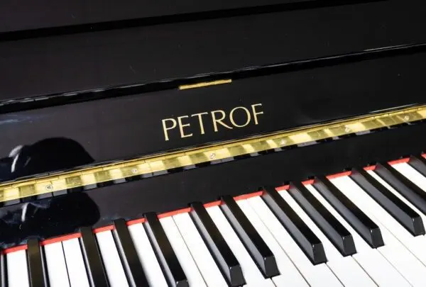 Petrof 125 Upright, 2003 - Image 5