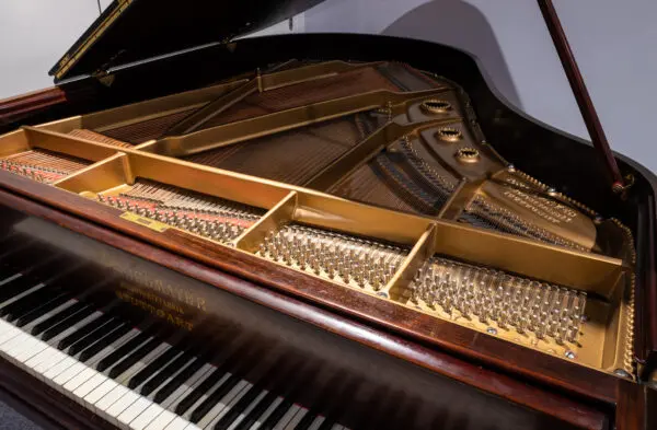 Schiedmayer Grand, 188cm (Refurbished) - Image 2