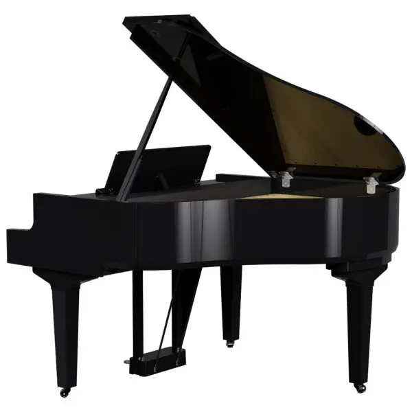 Roland GP9M Polished Ebony