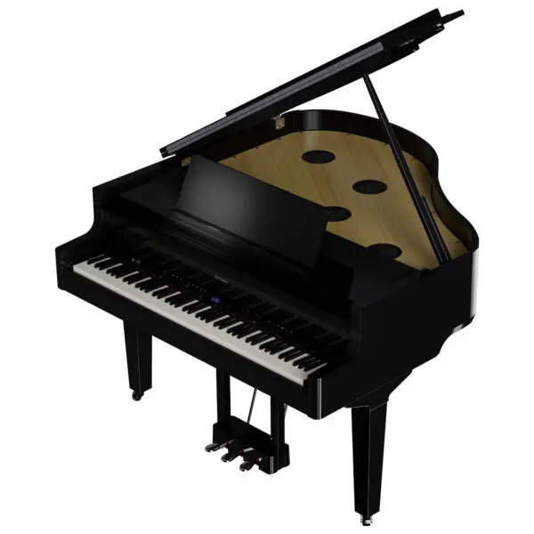 Roland GP9M Polished Ebony