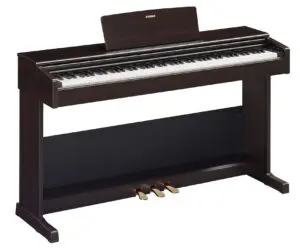 Yamaha YDP105 in Rosewood