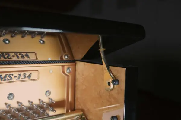 Kawai MS 134