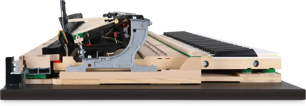 NV12. Kawai Millennium III Action. 