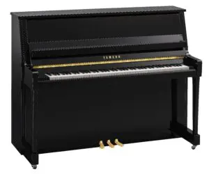 Yamaha B20 Polished Ebony