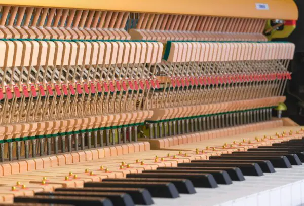 Yamaha B-Series Action