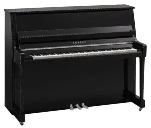 Yamaha B20 Polished Ebony Chrome