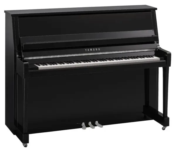 Yamaha B20 Polished Ebony Chrome