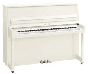 Yamaha B20 Polished White Chrome