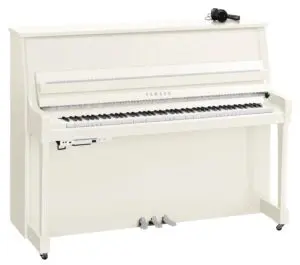 Yamaha B20 SC3 Polished White Chrome