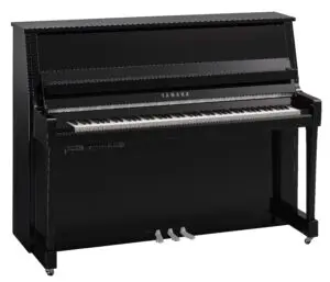 Yamaha B20 TC3 Polished Ebony Chrome