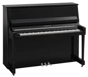 Yamaha B30 Polished Ebony Chrome