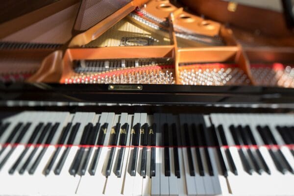 Yamaha C1X Disklavier Enspire Grand
