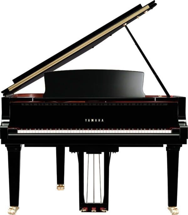 Yamaha C6X Front