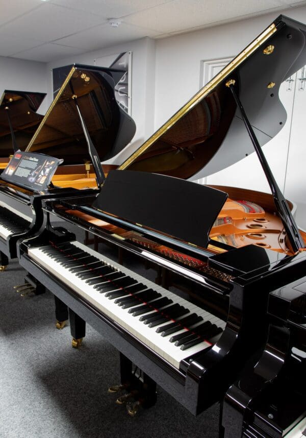 Yamaha C1X Showroom