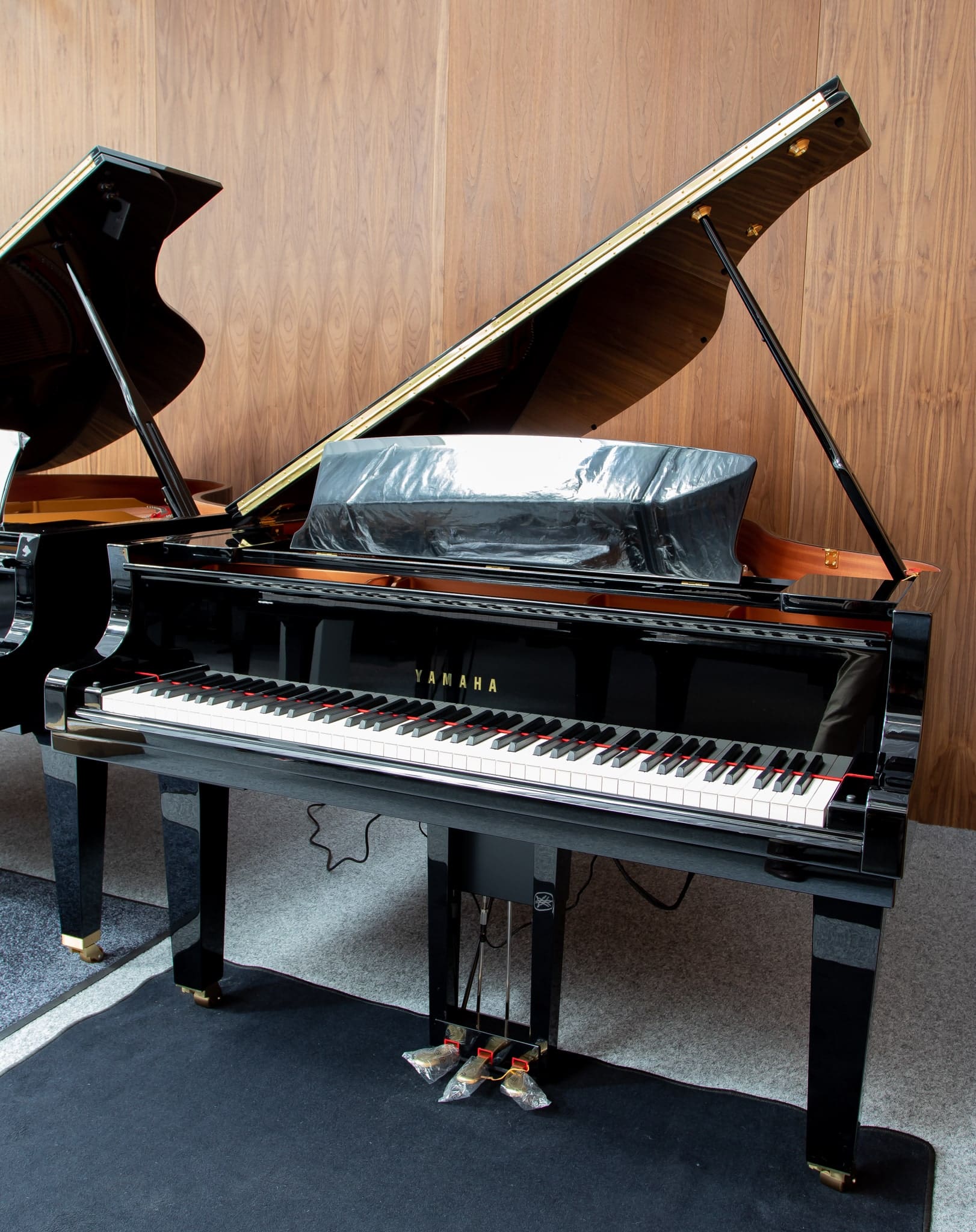 Yamaha on sale disklavier enspire