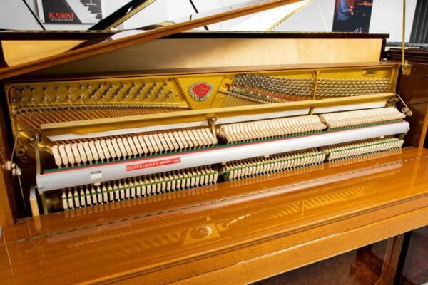 Schimmel Empire Inside