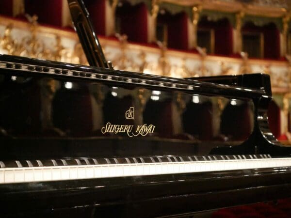 Shigeru Kawai SK-EX Keys