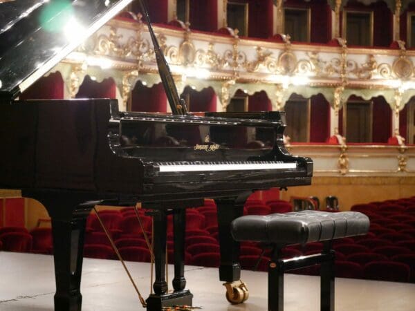 Shigeru Kawai SK-EX with Piano Stool