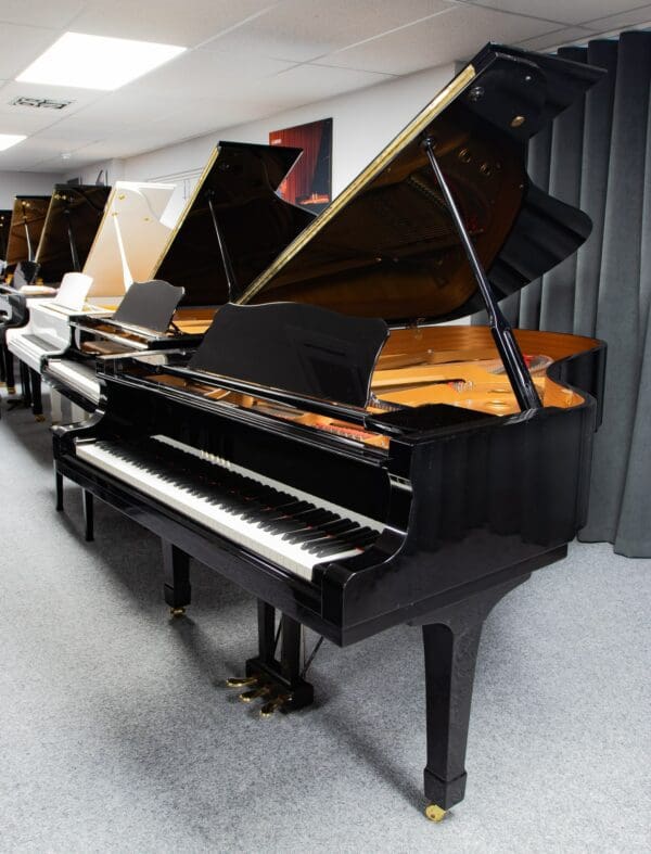Yamaha C6